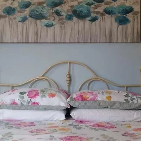 Comfort No. 16, Daffodil Court *