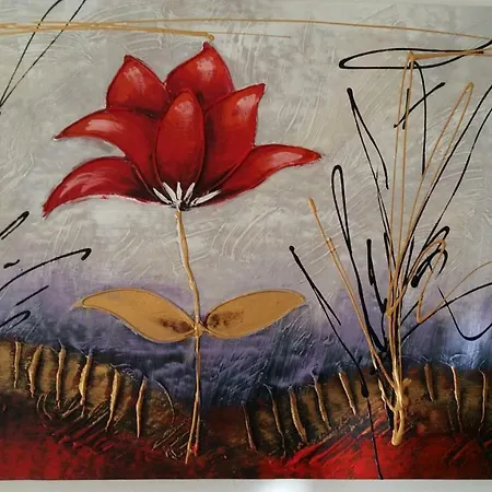 Comfort No. 16, Daffodil Court *