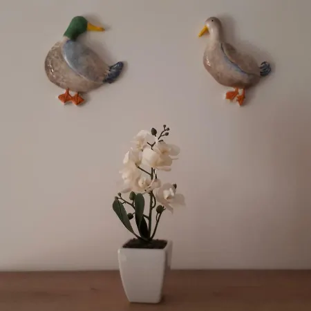 Comfort No. 16, Daffodil Court *