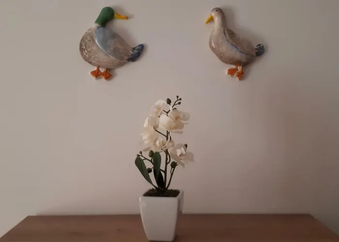 Comfort No. 16, Daffodil Court *