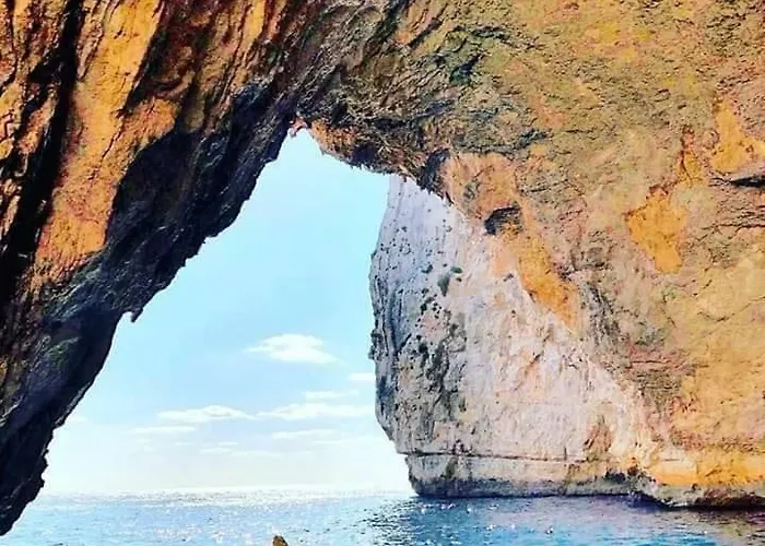 Comfort No. 16, Daffodil Court